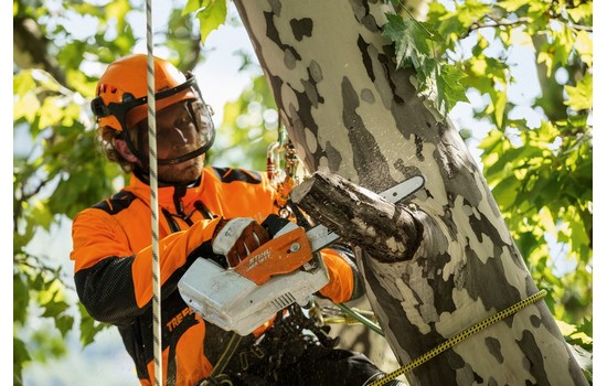 Аккумуляторная цепная пила STIHL MSA 161 T 10&quot;